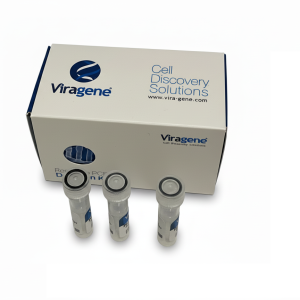 کیت سنتز cDNA ویراژن