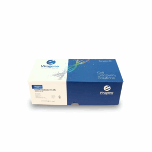 کیت استخراج DNA از HPV