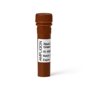 بایوشاپ-RealQ Plus 2x Master Mix Green